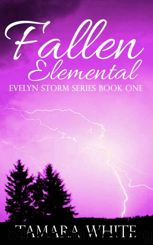 Fallen Elemental (Evelyn Storm Series Book 1) by Tamara White