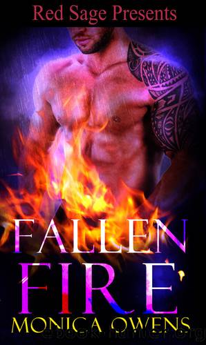 Fallen Fire by Monica Owens