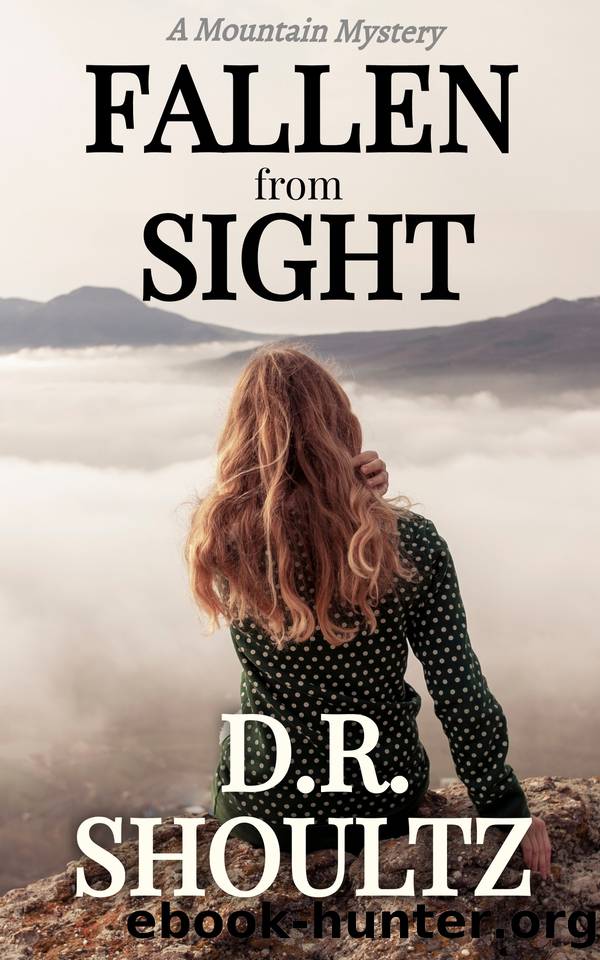 Fallen From Sight (A Mountain Mystery) by Shoultz D.R