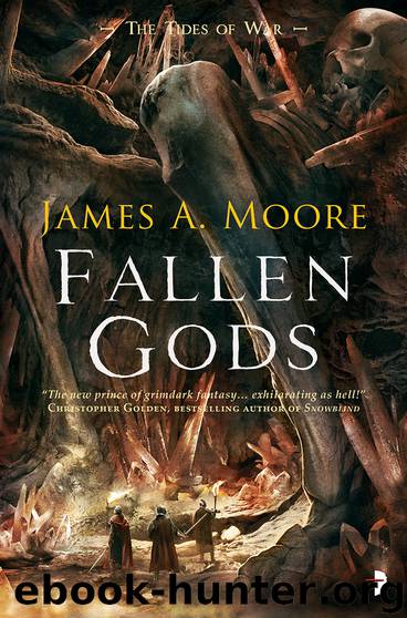 Fallen Gods by James A. Moore