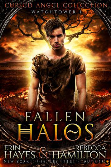 Fallen Halos: Watchtower 1 (Cursed Angel Collection) by Erin Hayes & Rebecca Hamilton & Cursed Angel & Charmed Legacy