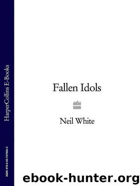 Fallen Idols by Neil White