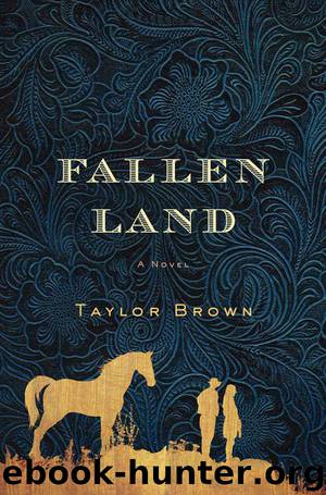 Fallen Land: A Novel by Brown Taylor