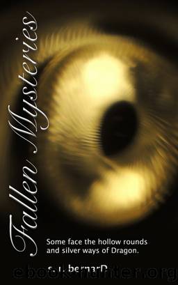 Fallen Mysteries by S. R. Bernard
