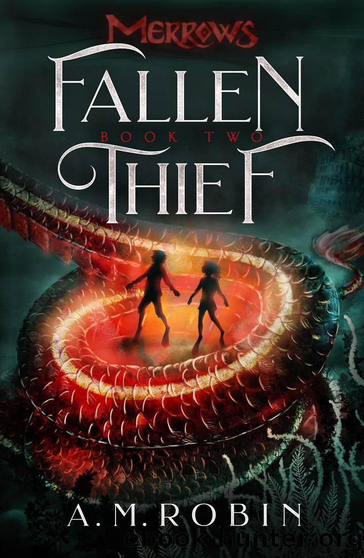 Fallen Thief by A. M. Robin