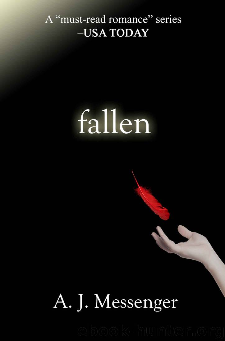 Fallen by A.J. Messenger