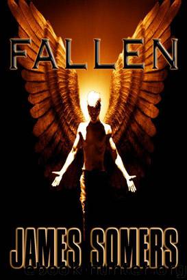 Fallen by James Somers
