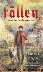 Fallen by Sniegoski Thomas E