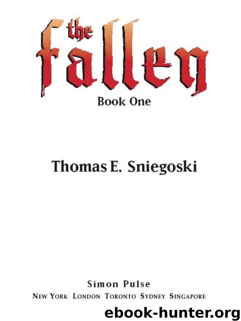 Fallen by Thomas E Sniegoski