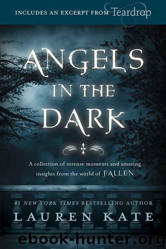 Fallen_Angels in the Dark by Lauren Kate