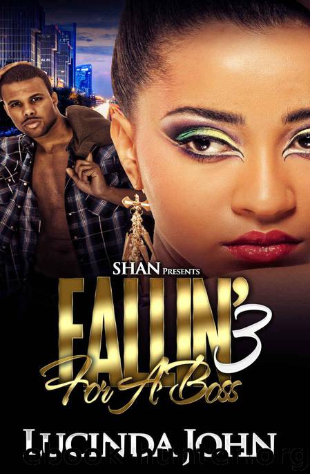 Fallin' for a Boss 3 by John Lucinda