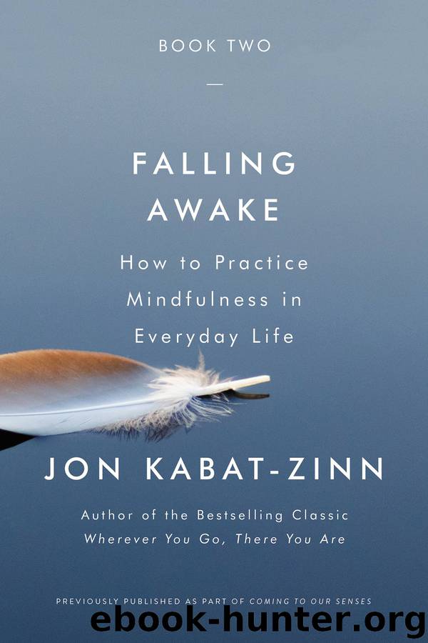 Falling Awake by Jon Kabat-Zinn