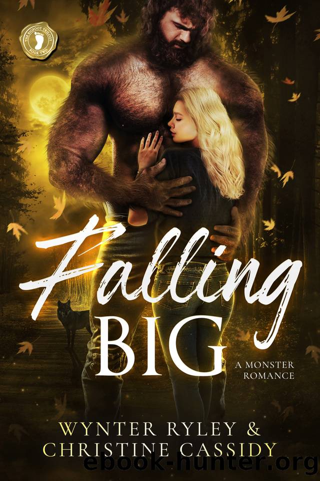 Falling Big by Christine Cassidy & Wynter Ryley