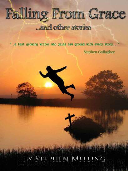 Falling From Grace by Stephen Melling