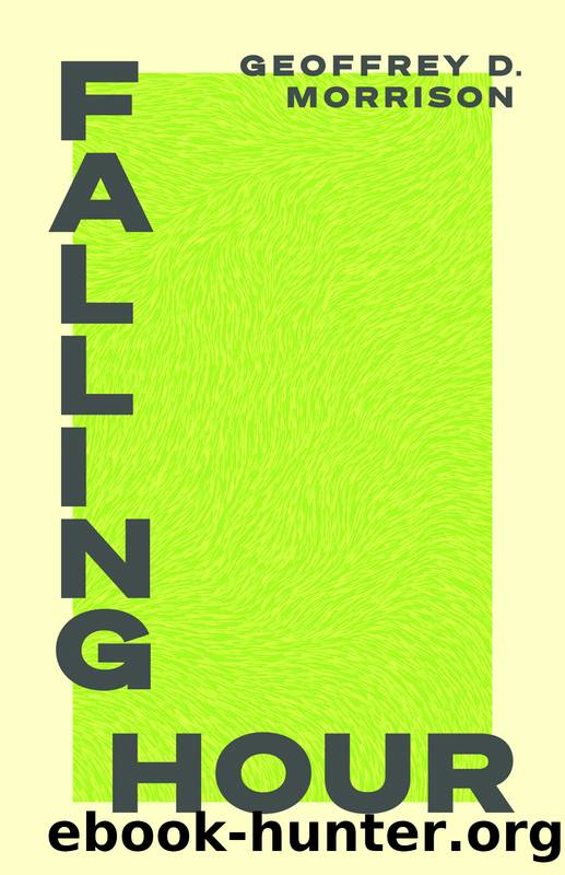Falling Hour by Geoffrey Morrison