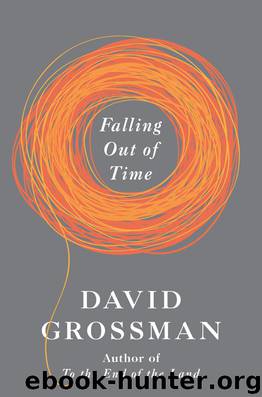 Falling Out of Time by David Grossman