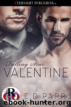 Falling Star Valentine by E.D. Parr