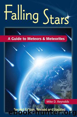 Falling Stars by Mike D. Reynolds
