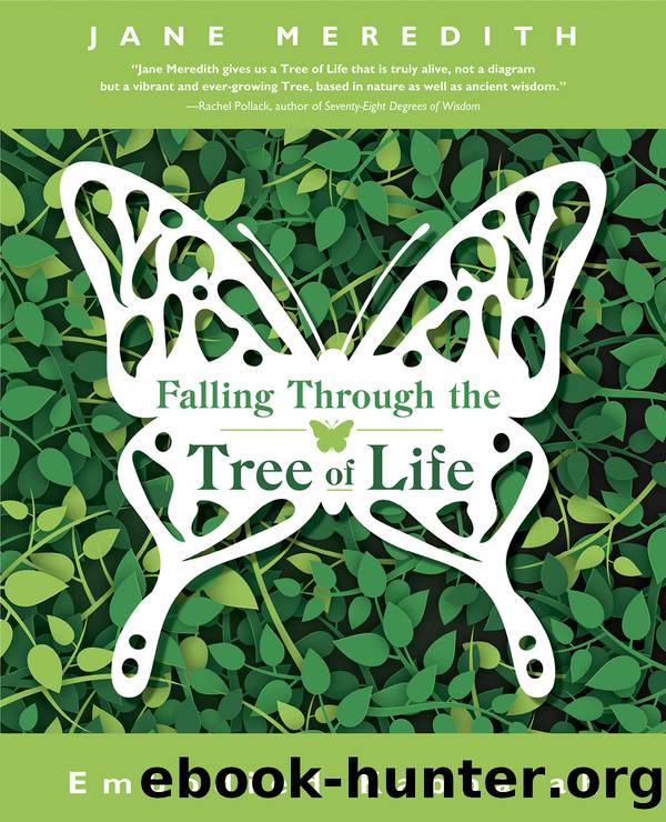 Falling Through the Tree of Life by Jane Meredith