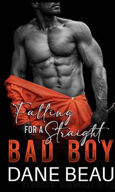 Falling for a Straight Bad Boy: A Bi Awakening MM Enemies to Lovers Prison Former Jock & Nerd Romance by Dane Beau