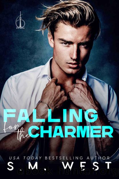 Falling for the Charmer: Opposites Attract Road Trip Romance (6ix Loves Book 5) by S.M. West