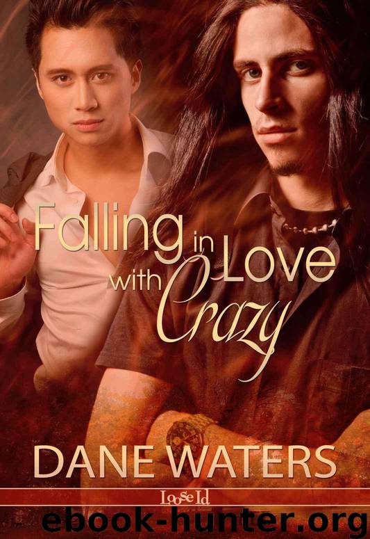 Falling in Love with Crazy by Waters Dane