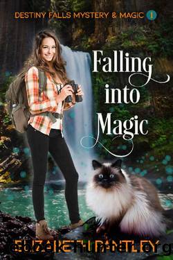 Falling into Magic : Destiny Falls Mystery & Magic Series Book 1 of 2 by Elizabeth Pantley