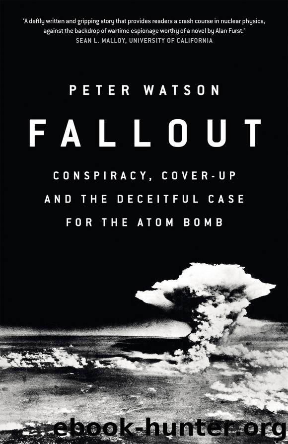 Fallout by Peter Watson