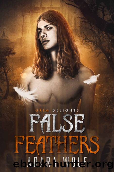 False Feathers (Grim and Sinister Delights Book 11) by Adara Wolf