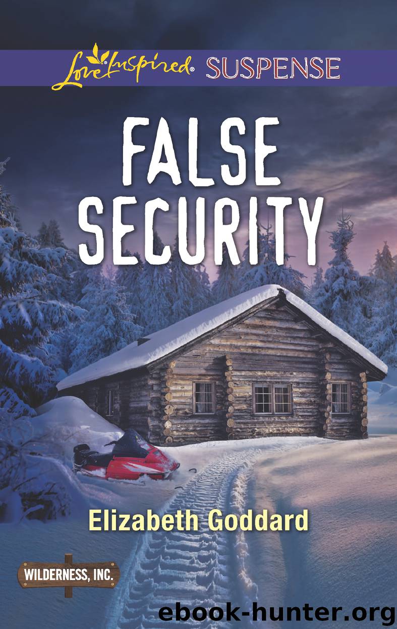False Security by Elizabeth Goddard