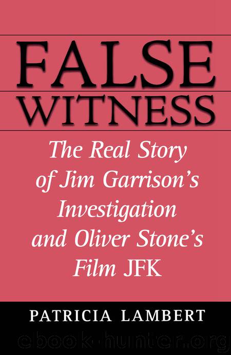 False Witness by Patricia Lambert