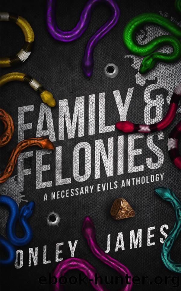 Family & Felonies: A Necessary Evils Anthology by Onley James