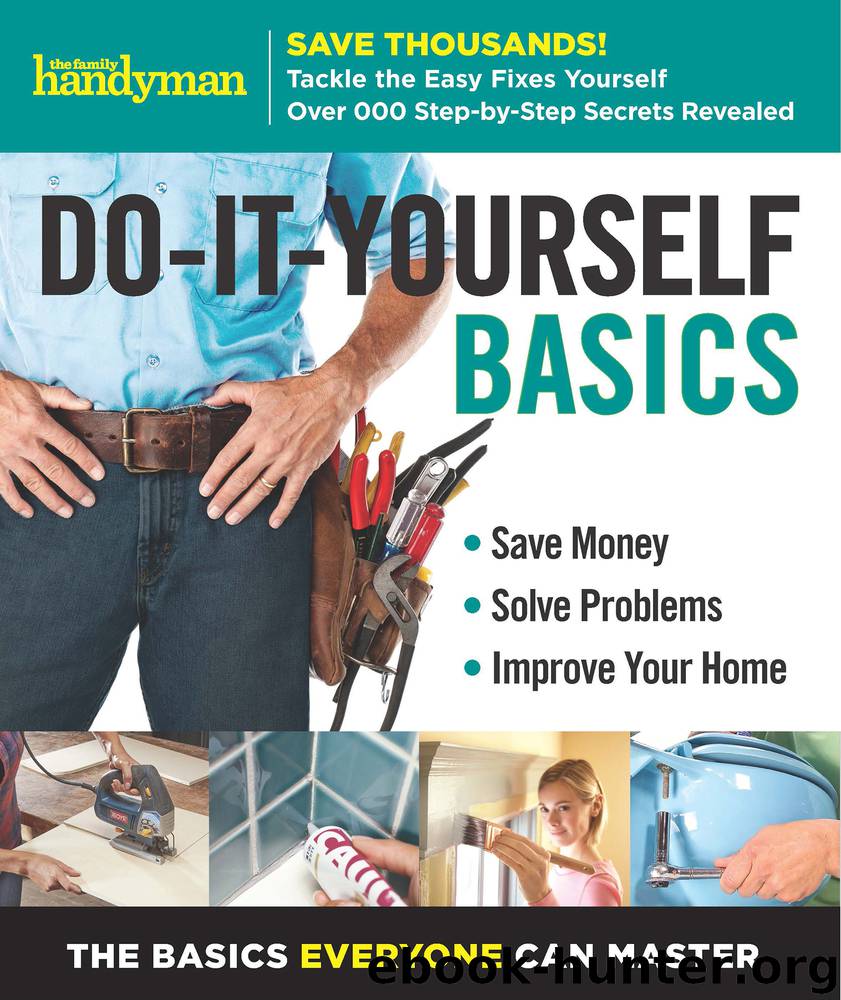 Family Handyman Do-It-Yourself Basics Volume 2 by Family Handyman