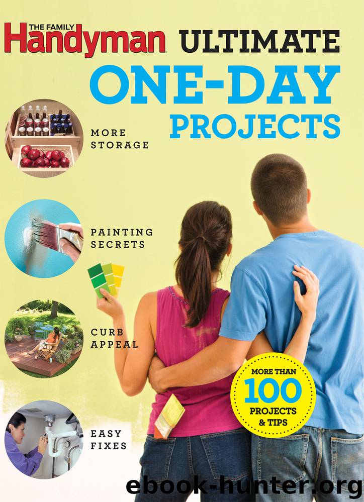 Family Handyman Ultimate 1-Day Projects by Editors Of Family Handyman