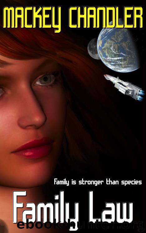 Family Law by Mackey Chandler