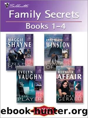 Family Secrets: Books 1-4 by Maggie Shayne