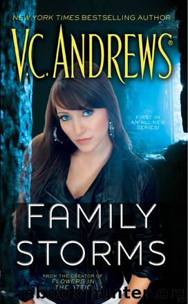 Family Storms by V. C. Andrews