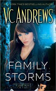 Family Storms by V.C. Andrews