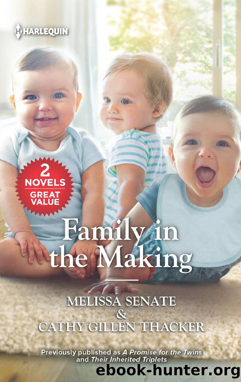 Family in the Making by Melissa Senate