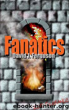 Fanatics: Zero Tolerance by Ferguson David J