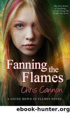 Fanning the Flames (Going Down in Flames) by Chris Cannon