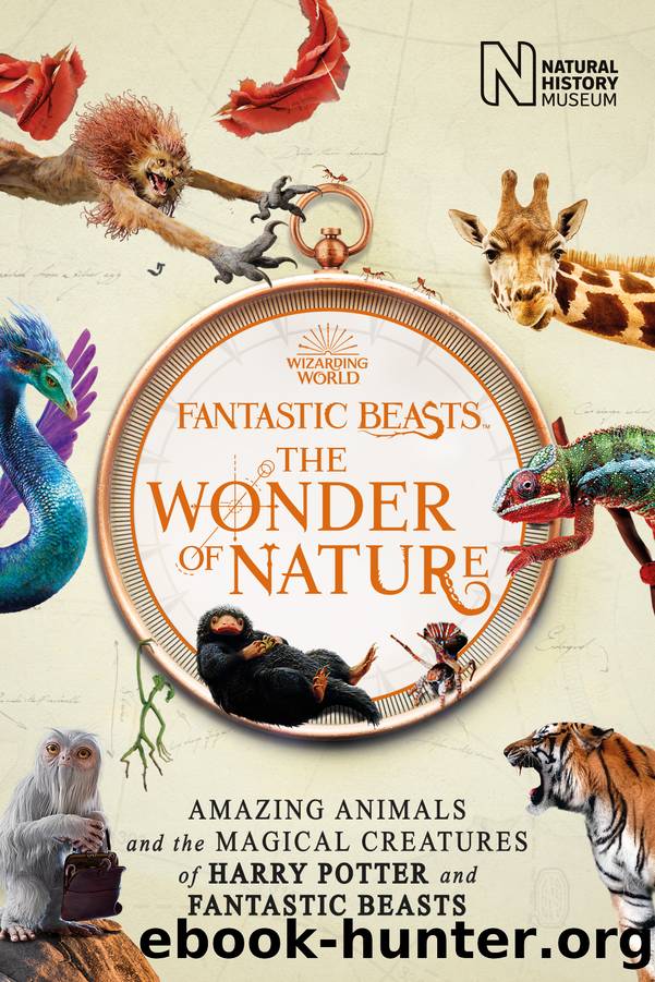 Fantastic Beasts by Natural History Museum