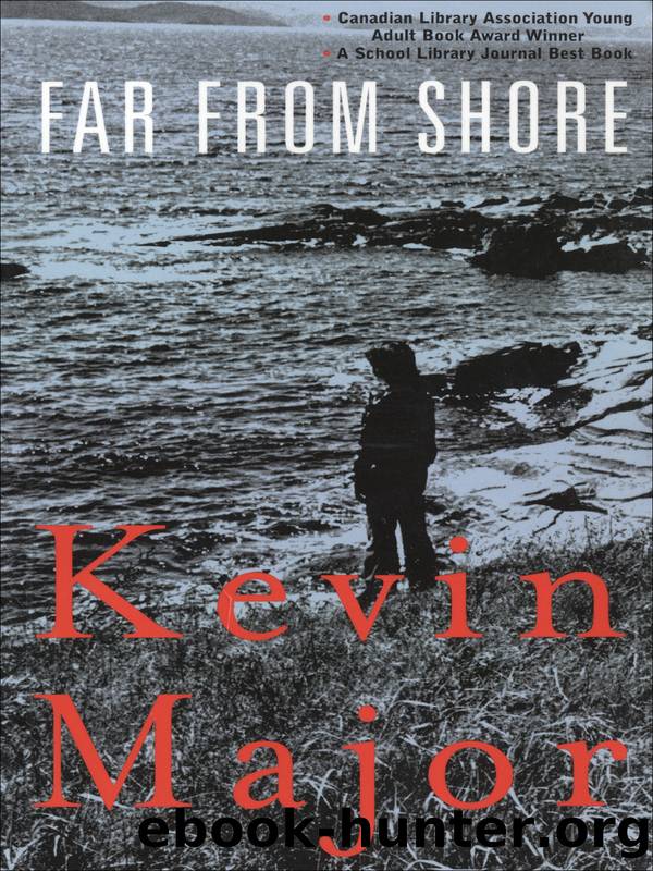Far From Shore by Kevin Major