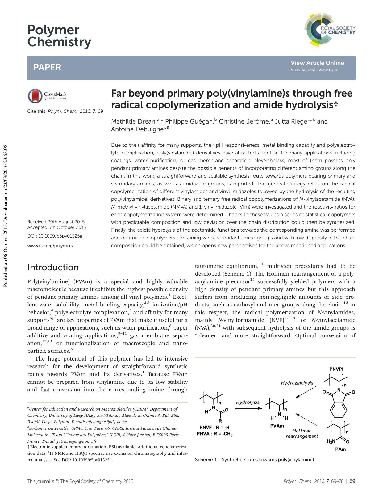 Far beyond primary poly(vinylamine)s through free radical copolymerization and amide hydrolysis by Mathilde Dréan Philippe Guégan Christine Jérôme Jutta Rieger Antoine Debuigne