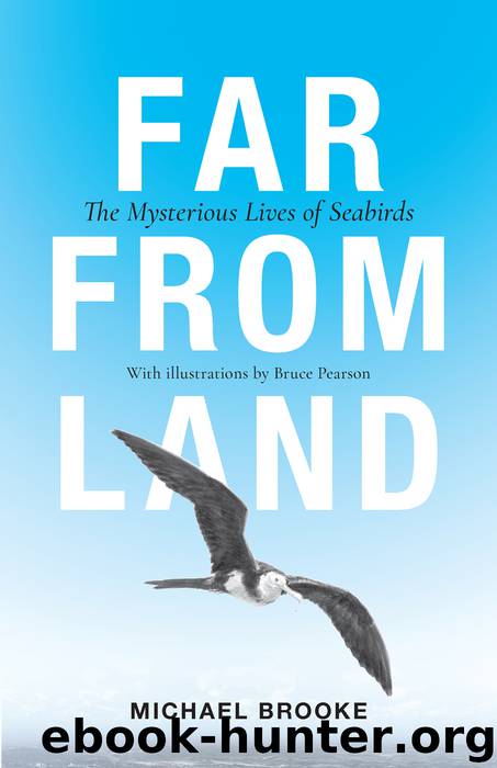 Far from Land by Michael Brooke