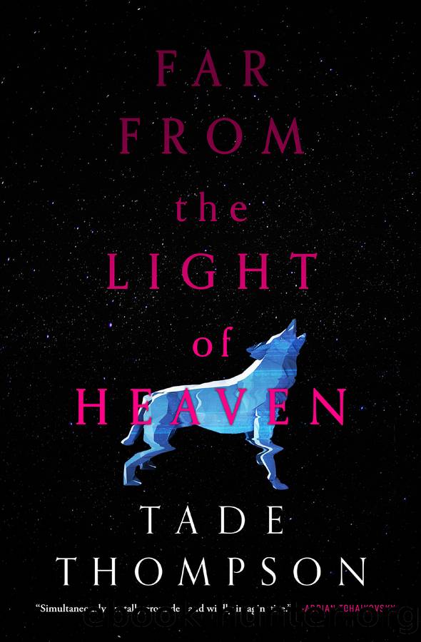 Far from the Light of Heaven by Tade Thompson