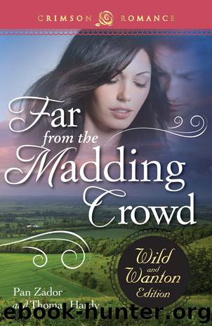 Far from the Madding Crowd by Pan Zador