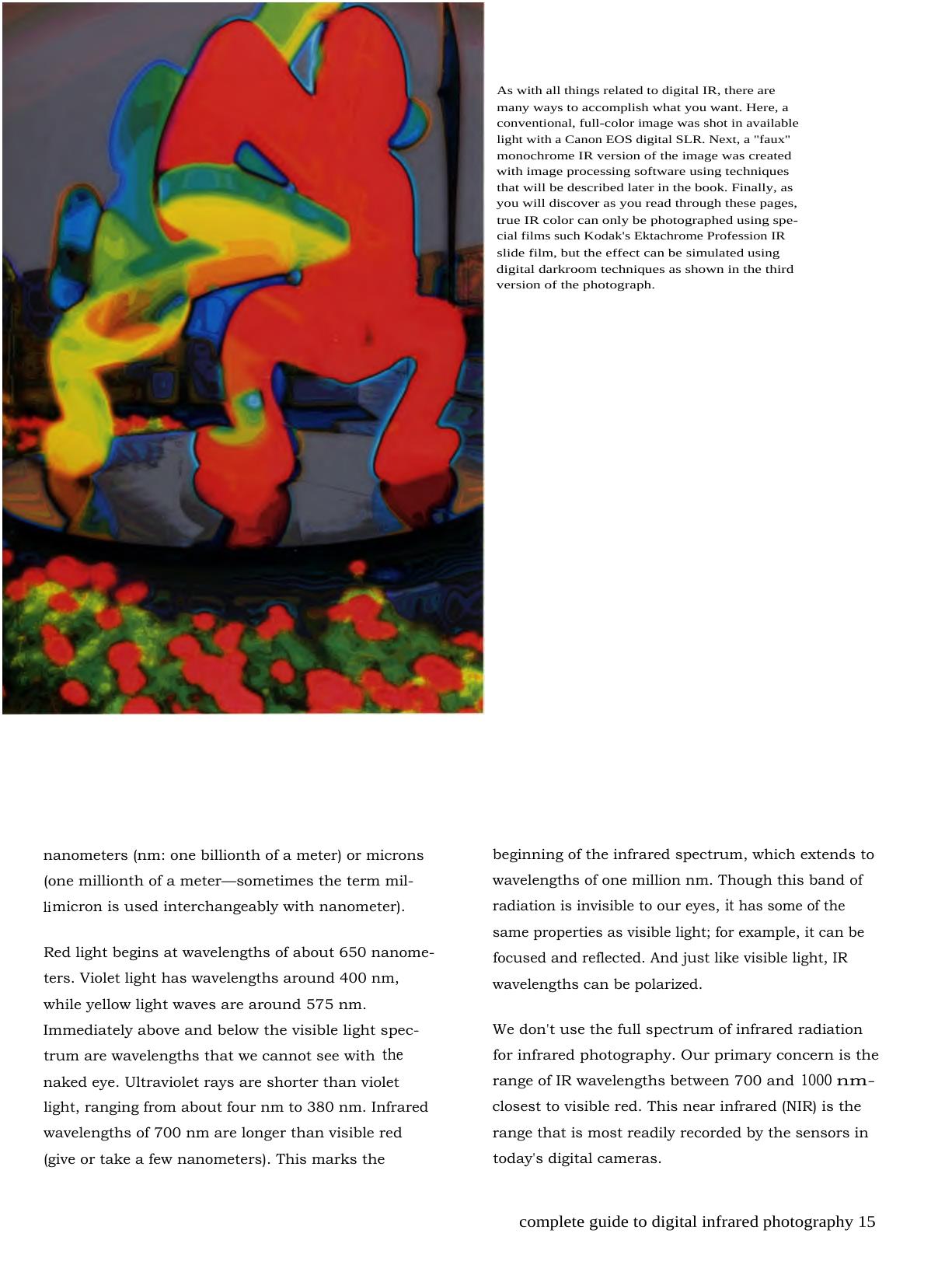 Farace J.-Complete Guide to Digital Infrared Photography by Unknown