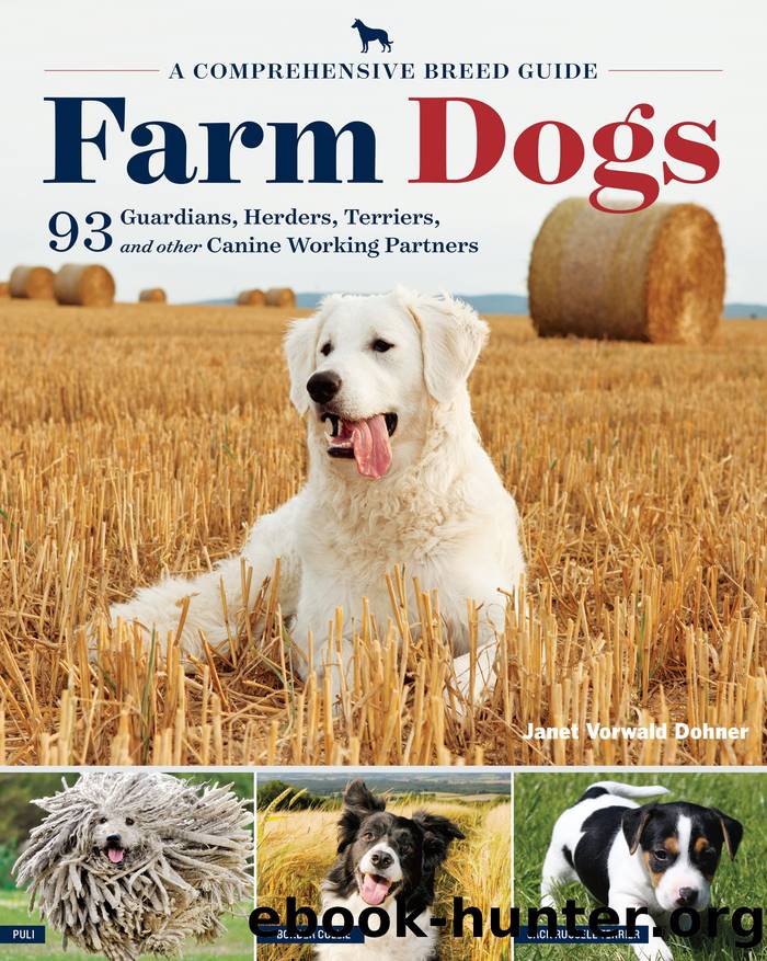 Farm Dogs by Janet Vorwald Dohner