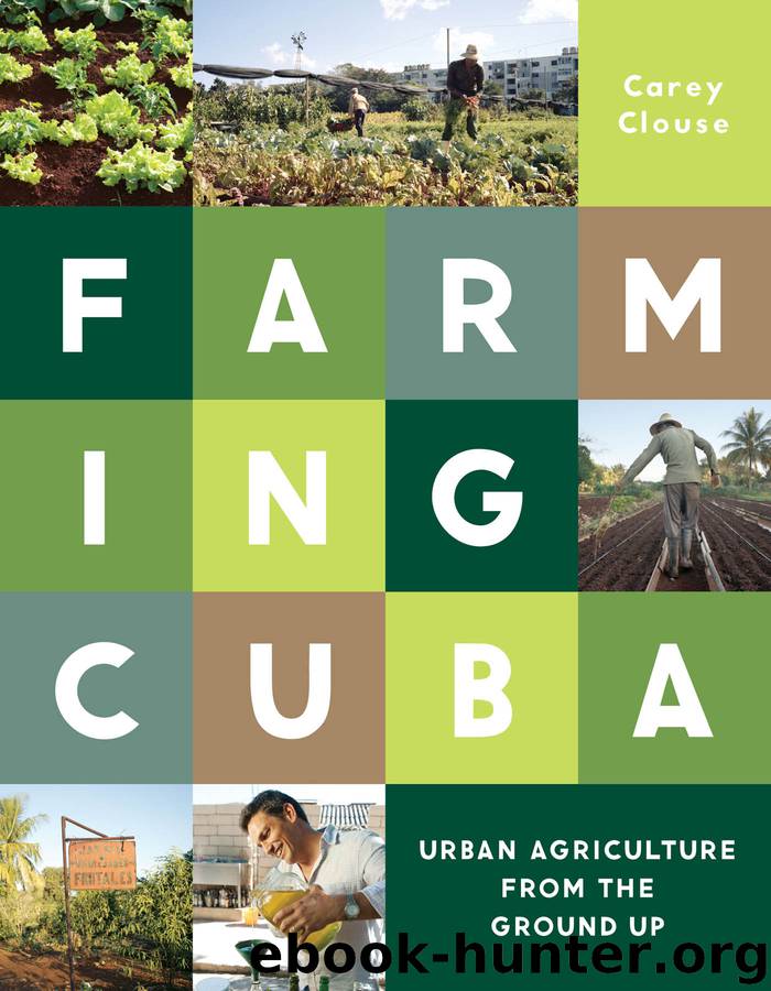 Farming Cuba by Carey Clouse